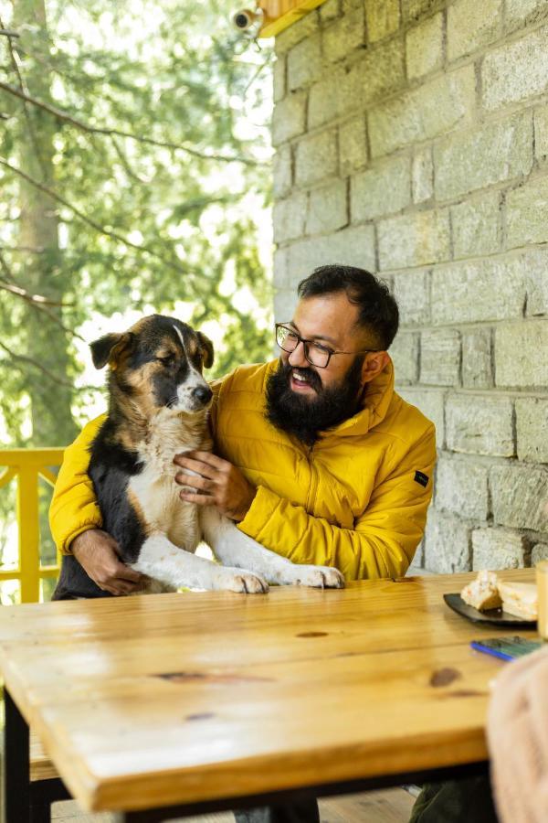 The Hosteller Manali Zewnętrze zdjęcie